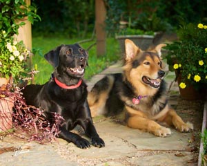 Lufkin Nacogdoches Photography Experts. Family, Children and Pet pictures that make you love the way you look by Greg Patterson, House of Photography of Nacogdoches.