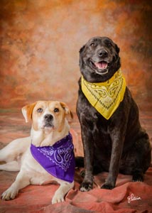 Lufkin Nacogdoches Photography Experts. Family, Children and Pet pictures that make you love the way you look by Greg Patterson, House of Photography of Nacogdoches.